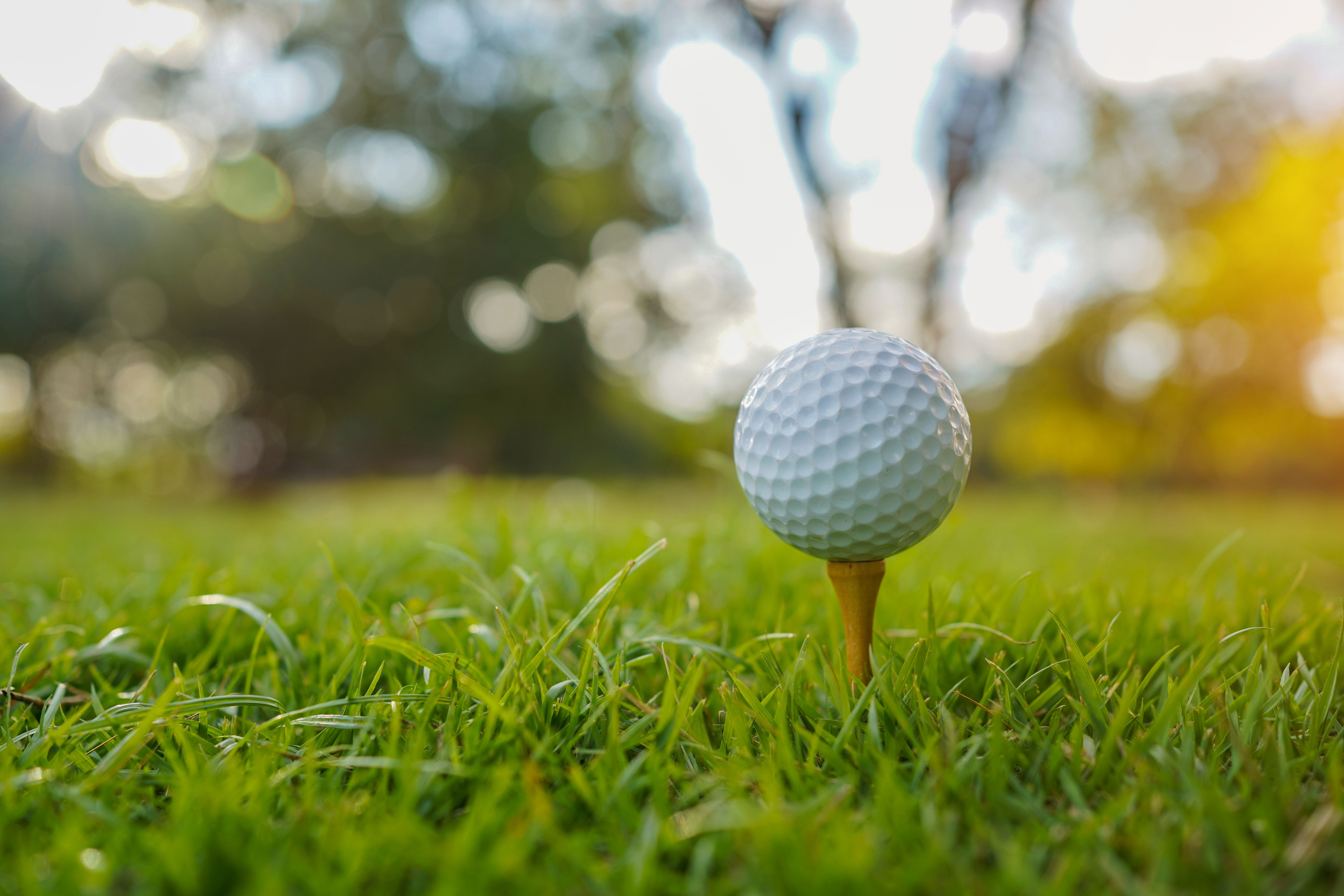 SVMC gears up for annual spring golf tournament at River Island Country ...